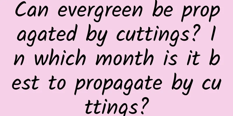Can evergreen be propagated by cuttings? In which month is it best to propagate by cuttings?