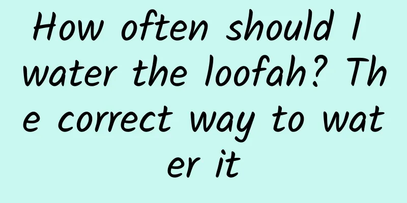 How often should I water the loofah? The correct way to water it