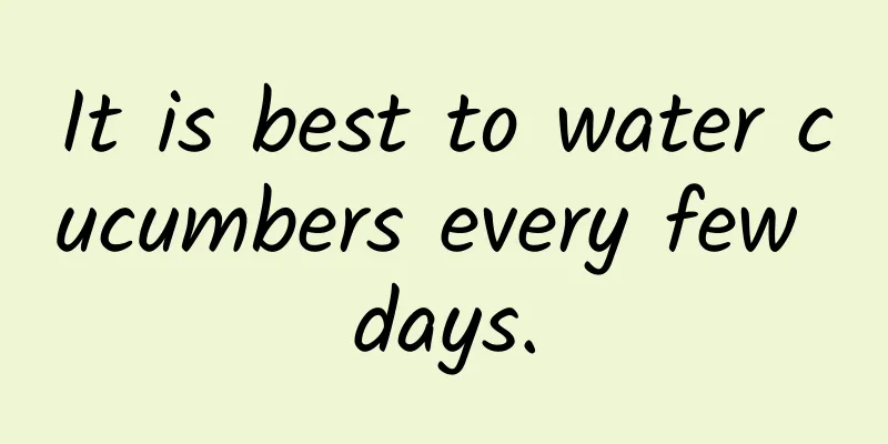 It is best to water cucumbers every few days.