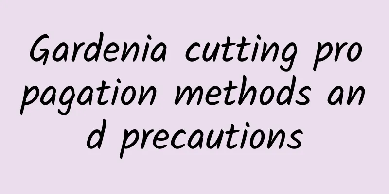 Gardenia cutting propagation methods and precautions
