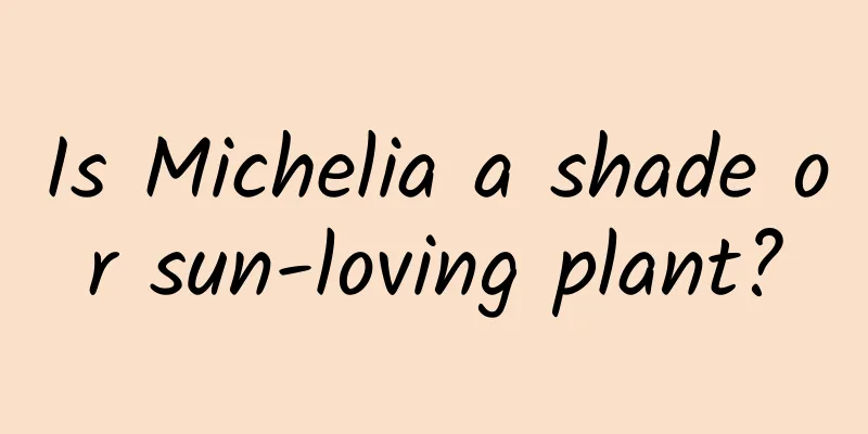 Is Michelia a shade or sun-loving plant?