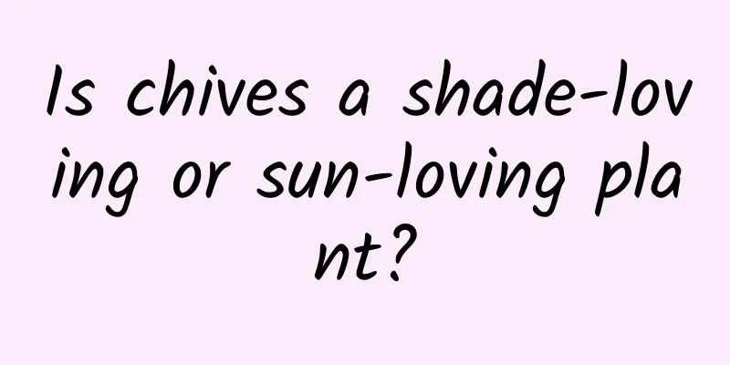Is chives a shade-loving or sun-loving plant?