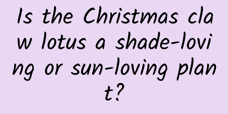 Is the Christmas claw lotus a shade-loving or sun-loving plant?