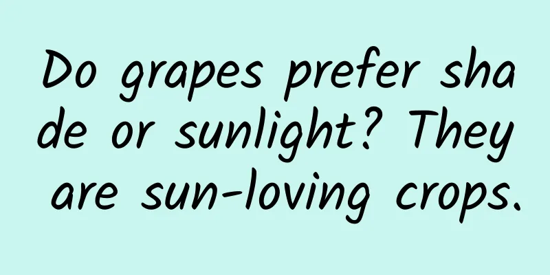 Do grapes prefer shade or sunlight? They are sun-loving crops.