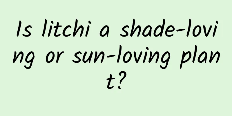 Is litchi a shade-loving or sun-loving plant?