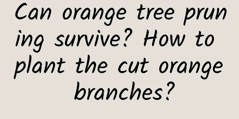 Can orange tree pruning survive? How to plant the cut orange branches?