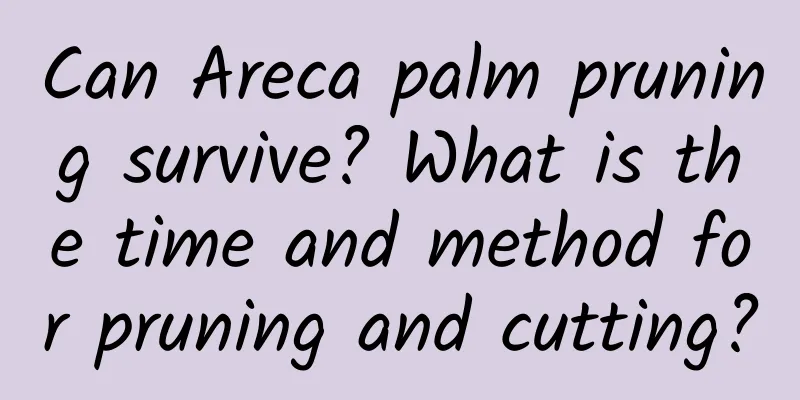 Can Areca palm pruning survive? What is the time and method for pruning and cutting?