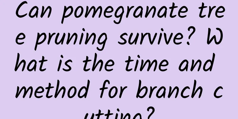 Can pomegranate tree pruning survive? What is the time and method for branch cutting?