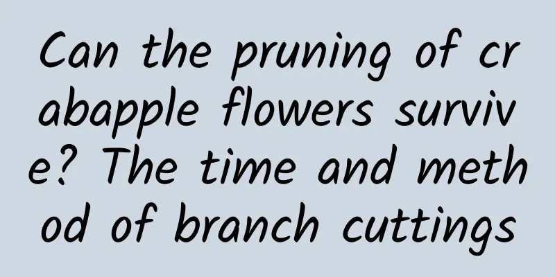Can the pruning of crabapple flowers survive? The time and method of branch cuttings