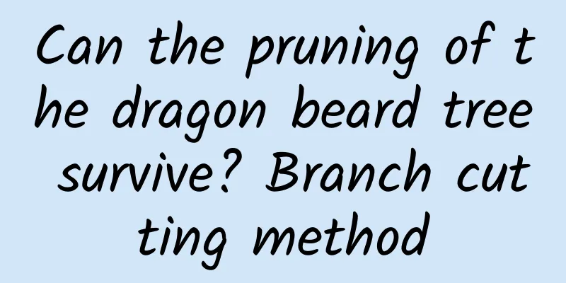 Can the pruning of the dragon beard tree survive? Branch cutting method