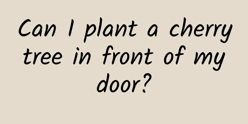 Can I plant a cherry tree in front of my door?