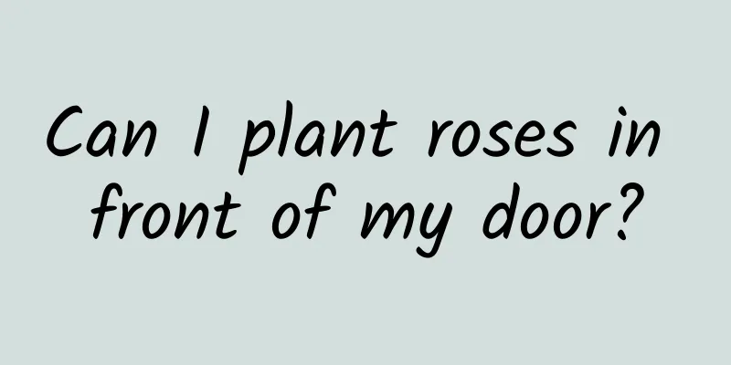 Can I plant roses in front of my door?