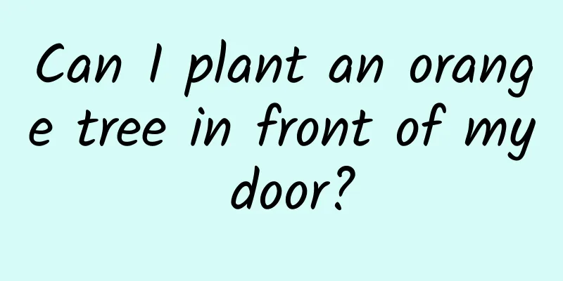 Can I plant an orange tree in front of my door?