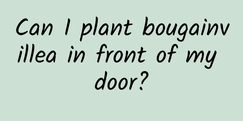 Can I plant bougainvillea in front of my door?