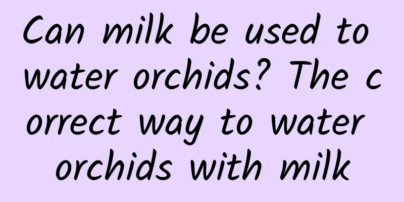 Can milk be used to water orchids? The correct way to water orchids with milk