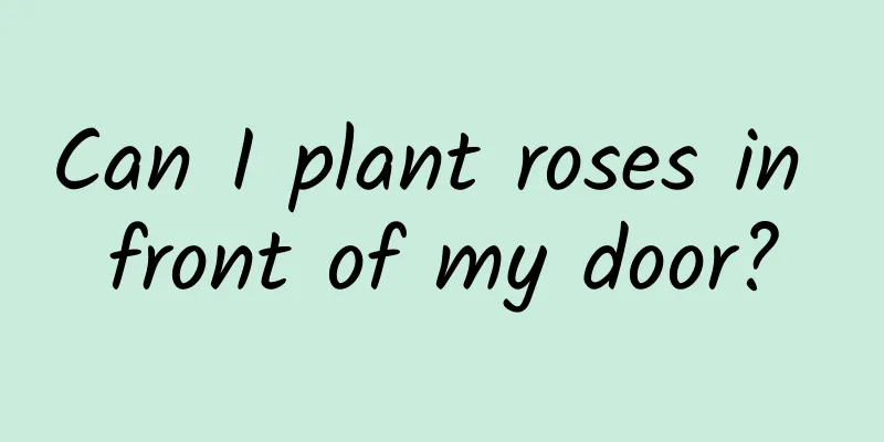 Can I plant roses in front of my door?
