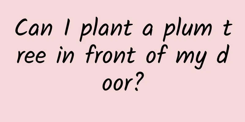 Can I plant a plum tree in front of my door?