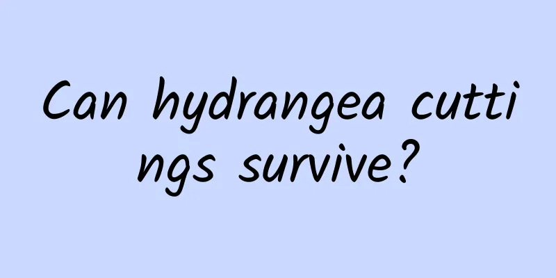 Can hydrangea cuttings survive?