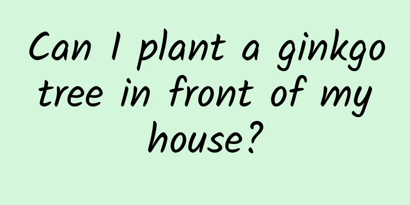 Can I plant a ginkgo tree in front of my house?