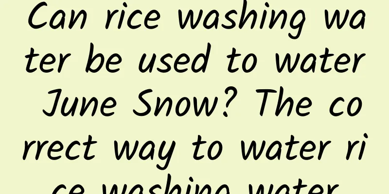 Can rice washing water be used to water June Snow? The correct way to water rice washing water