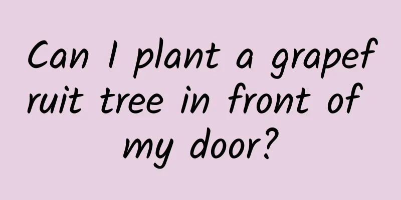Can I plant a grapefruit tree in front of my door?
