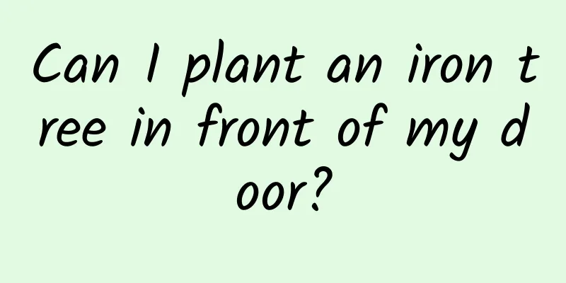 Can I plant an iron tree in front of my door?