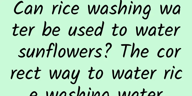 Can rice washing water be used to water sunflowers? The correct way to water rice washing water