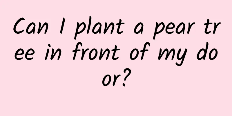 Can I plant a pear tree in front of my door?