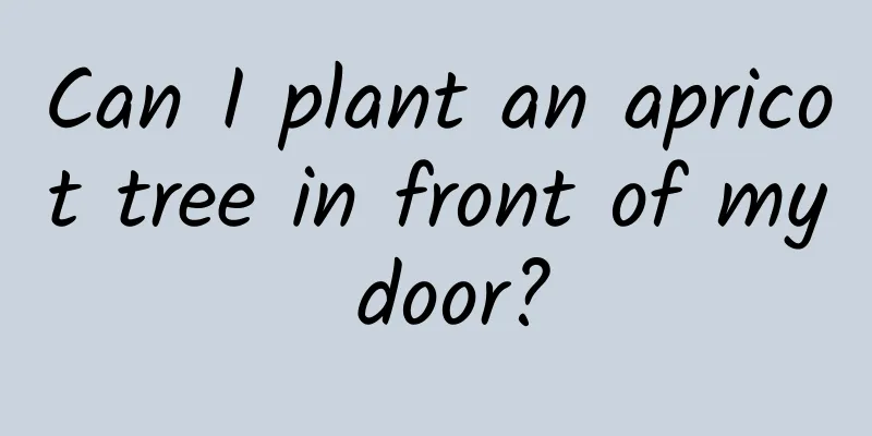 Can I plant an apricot tree in front of my door?