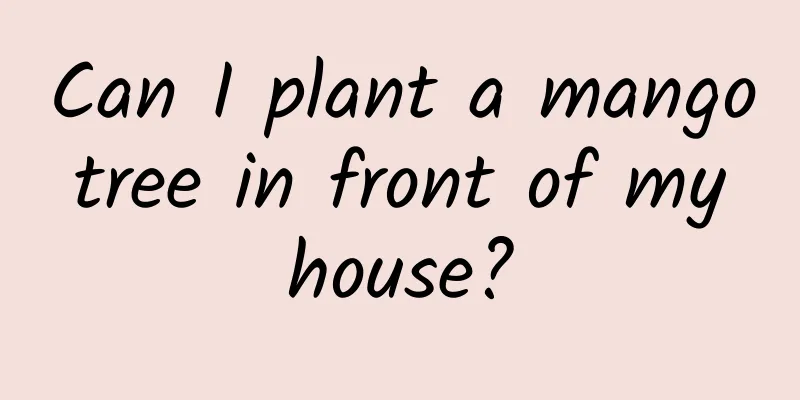 Can I plant a mango tree in front of my house?