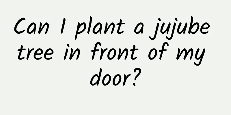 Can I plant a jujube tree in front of my door?