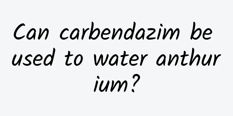 Can carbendazim be used to water anthurium?
