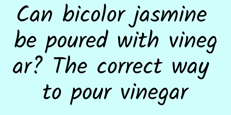 Can bicolor jasmine be poured with vinegar? The correct way to pour vinegar