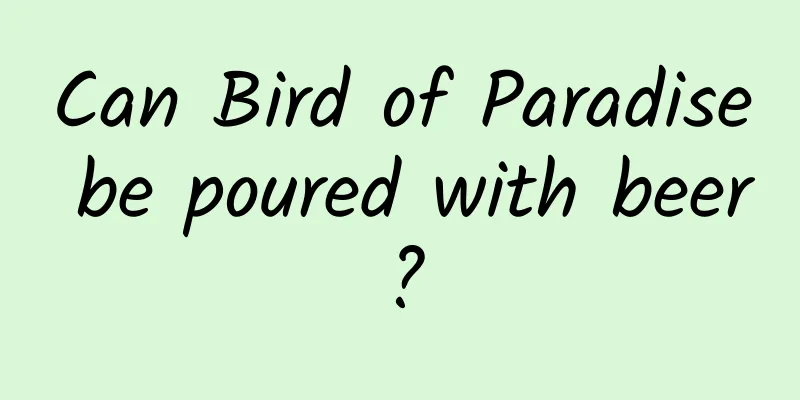 Can Bird of Paradise be poured with beer?