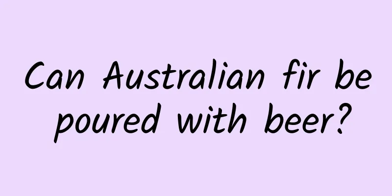 Can Australian fir be poured with beer?