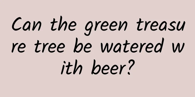 Can the green treasure tree be watered with beer?