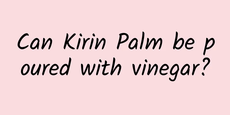 Can Kirin Palm be poured with vinegar?