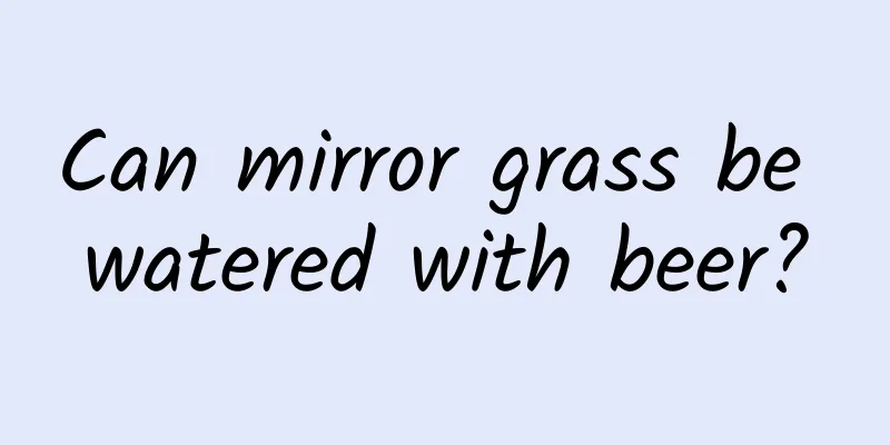 Can mirror grass be watered with beer?