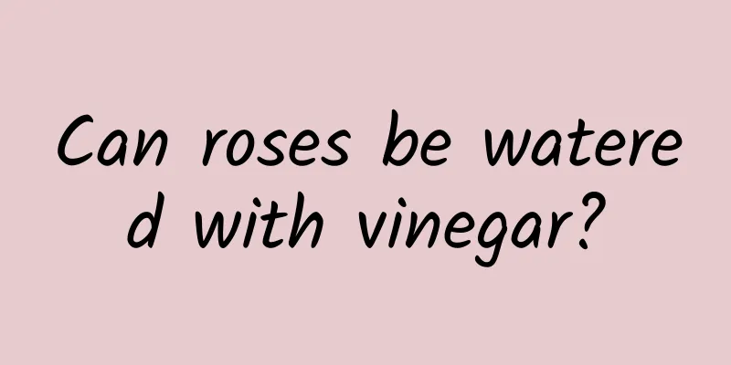 Can roses be watered with vinegar?
