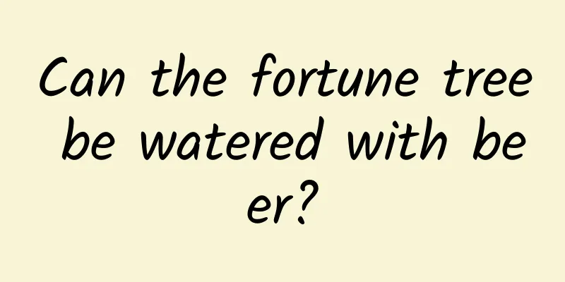Can the fortune tree be watered with beer?
