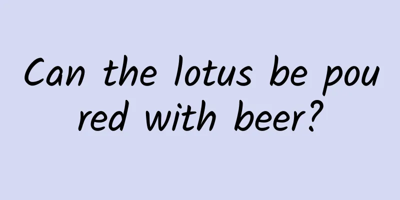 Can the lotus be poured with beer?
