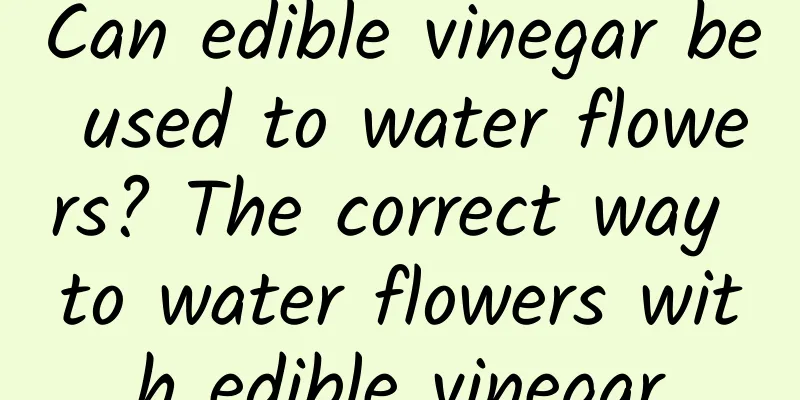 Can edible vinegar be used to water flowers? The correct way to water flowers with edible vinegar
