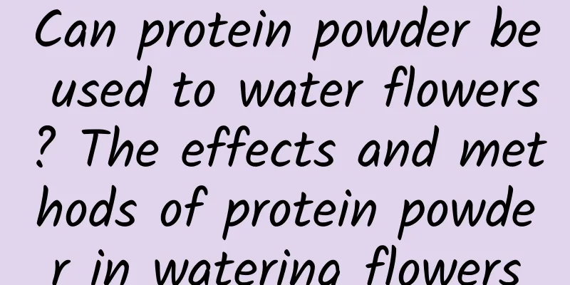 Can protein powder be used to water flowers? The effects and methods of protein powder in watering flowers