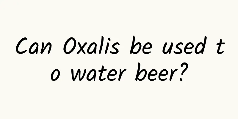 Can Oxalis be used to water beer?