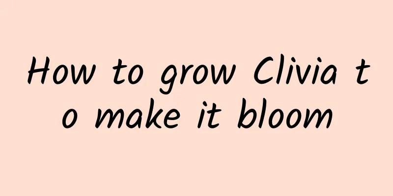 How to grow Clivia to make it bloom