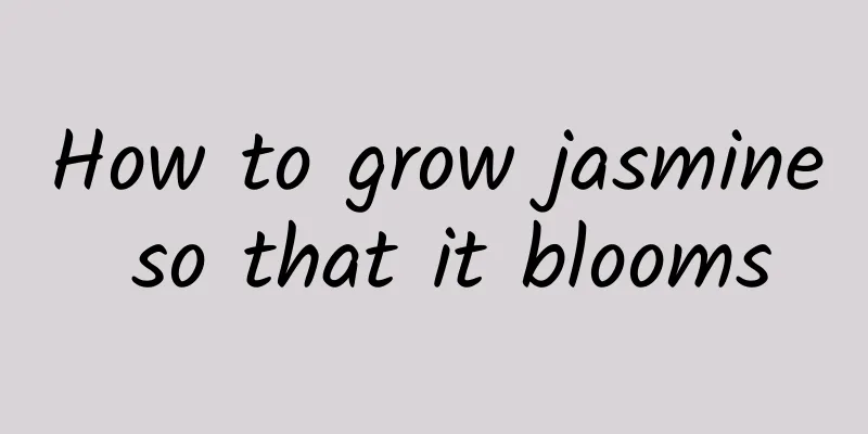 How to grow jasmine so that it blooms