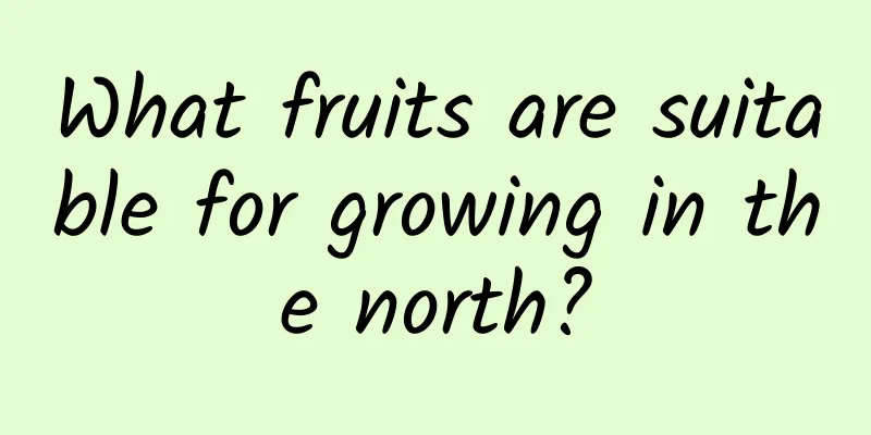 What fruits are suitable for growing in the north?