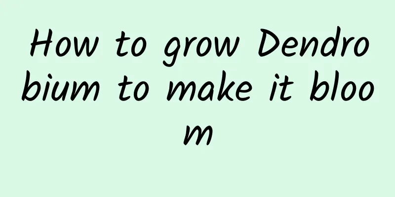 How to grow Dendrobium to make it bloom