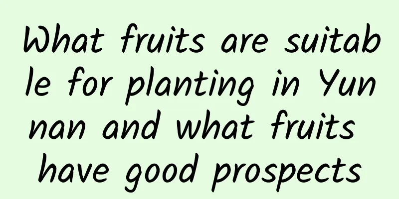 What fruits are suitable for planting in Yunnan and what fruits have good prospects