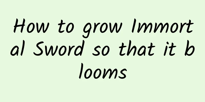 How to grow Immortal Sword so that it blooms